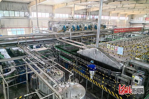 激發(fā)消費新活力 品質體驗燕趙行 活動 第二站走進滄州