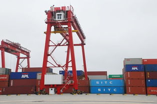 山東到海口國內(nèi)集裝箱海運專線運輸公司