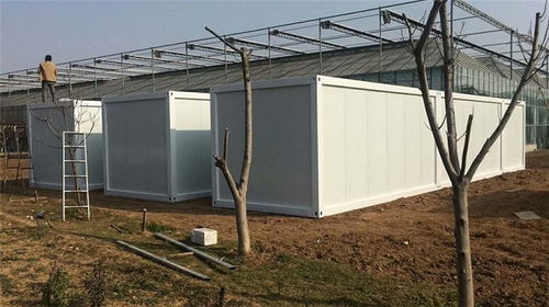 拼裝箱框架批發(fā)與租賃指南 邢臺(tái)、文安地區(qū)的優(yōu)選方案